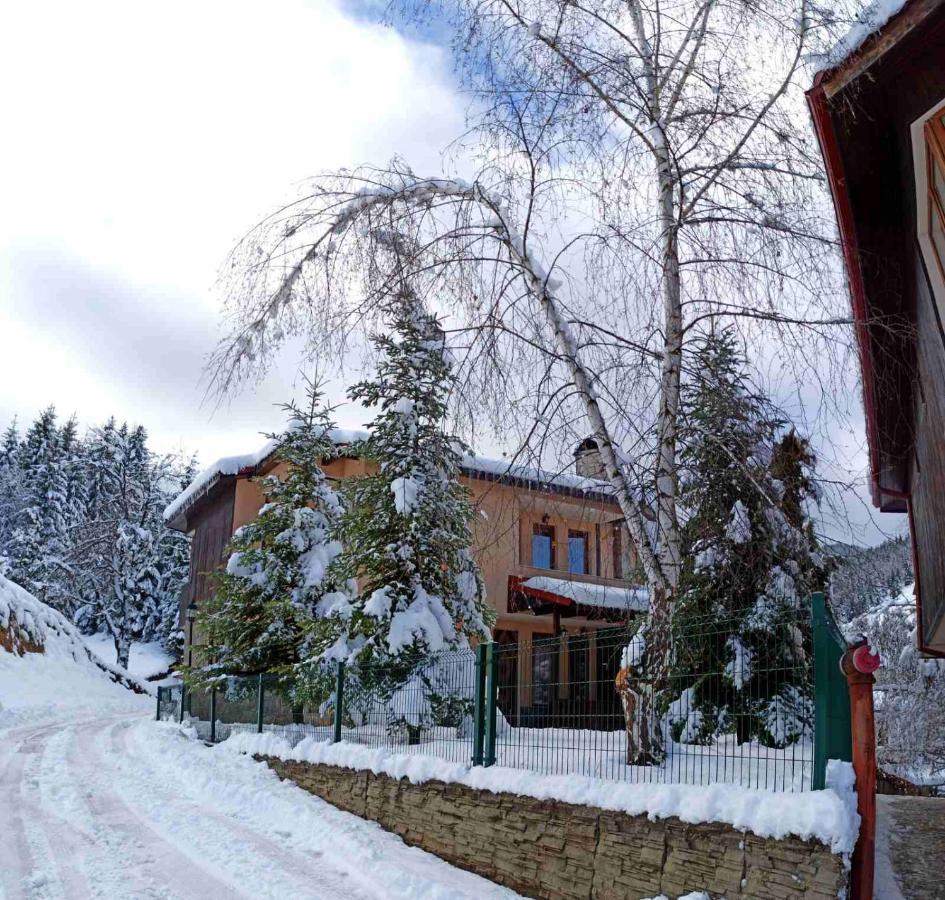 Rodopi Houses Tjepelare Exteriör bild